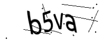 captcha_img