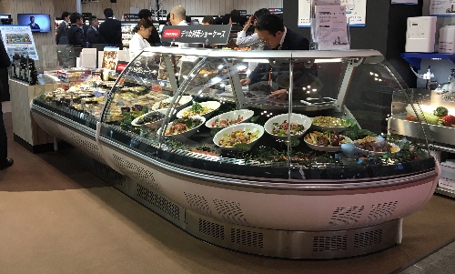 PELAS TERRAS DO SOL NASCENTE