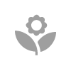 Flowers Icon