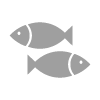 Fish Icon