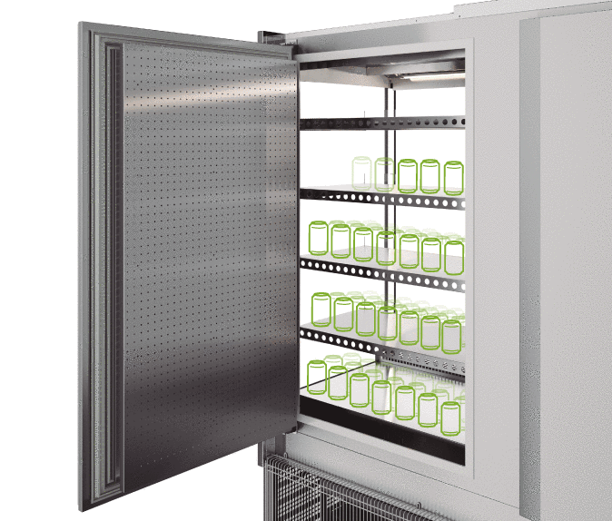 murais UNITED pass-trough murais UNITED pass-trough